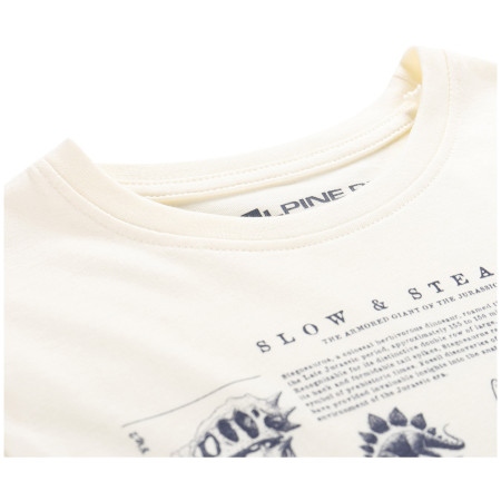 T-shirt dziecięcy Alpine Pro Ecco 2