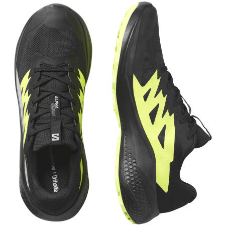 Buty do biegania dla mężczyzn Salomon Alphaglide Gore-Tex