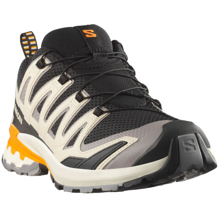 Buty męskie Salomon Xa Pro 3D V9