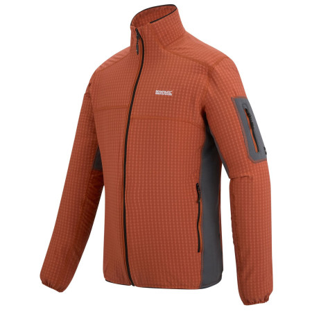 Męska bluza Regatta Baslinn