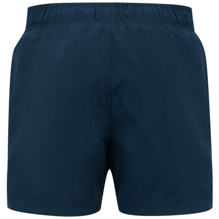 Męski strój kąpielowy Regatta Mawson Swim Shorts III
