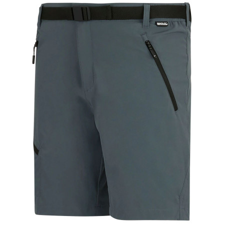 Spodenki męskie Regatta Xert Stretch Shorts
