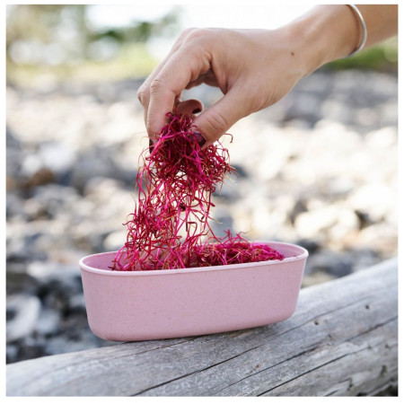 Pojemniki Light My Fire Oval 2-pack