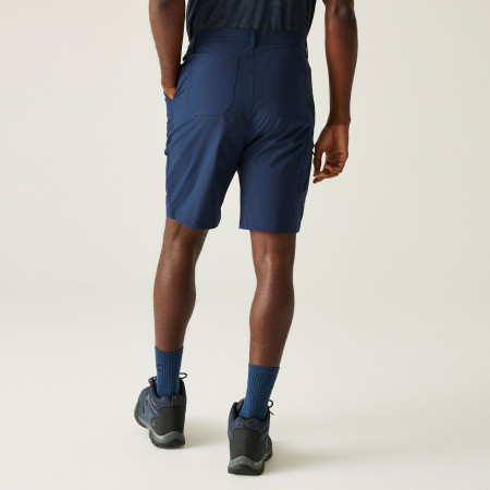 Męskie szorty Regatta Dalry Short