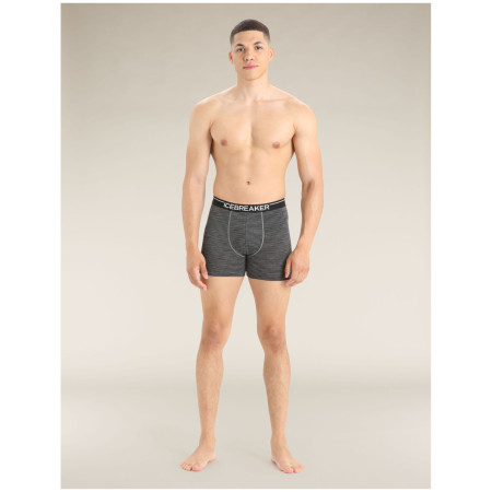 Męskie bokserki Icebreaker Mens Anatomica Boxers