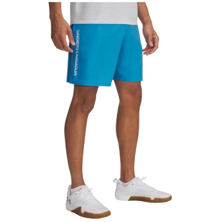 Męskie szorty Under Armour Woven Wdmk Shorts