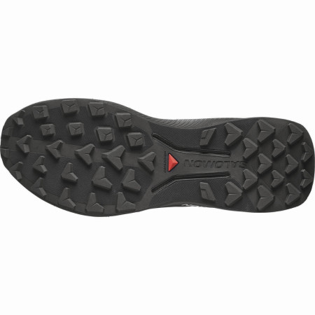 Buty do biegania dla mężczyzn Salomon Genesis 2