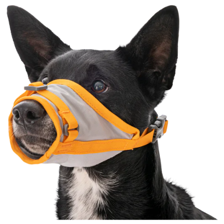 Szelki dla psa Ruffwear BackTrak™ Dog Evacuation Kit