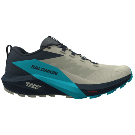 Buty do biegania dla mężczyzn Salomon Sense Ride 5 szary/niebieski Alfalfa