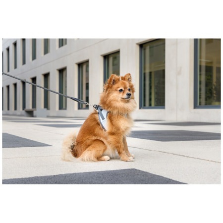 Szelki dla psa Curli Glow Reflective