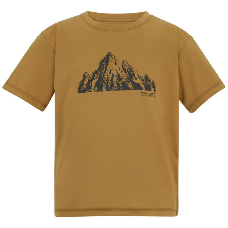 T-shirt dziecięcy Regatta Alvarado Wood Brown brązowy Wood Brown