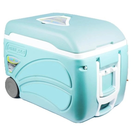 Lodówka turystyczna Pinnacle Proxon 45L