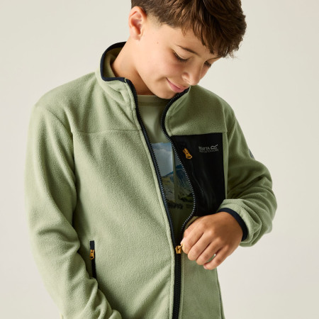 Bluza dziecięca Regatta Junior Frankie F/Z Light Sage