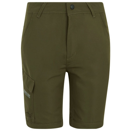 Spodnie dziecięce Regatta Sorcer Z/O Trousers III Treetop