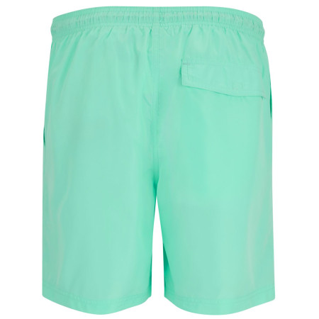 Spodenki męskie Regatta Mackleyna Swim Short