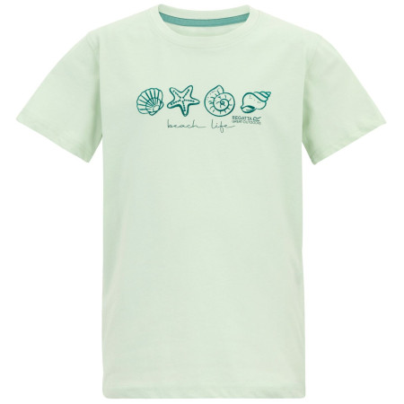 T-shirt dziecięcy Regatta Bosley OceanMist jasnozielony OceanMist