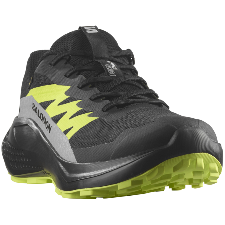 Buty do biegania dla mężczyzn Salomon Alphaglide Gore-Tex