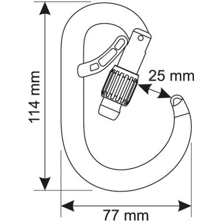 Karabinek Camp Core Belay Lock