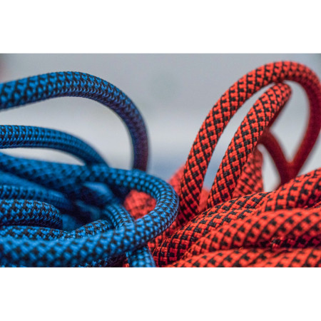 Lina Tendon Indoor 9,8 50m