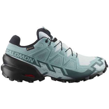 Buty damskie Salomon Speedcross 6 Gore-Tex