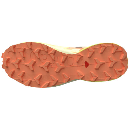 Damskie buty do biegania Salomon Speedcross 6