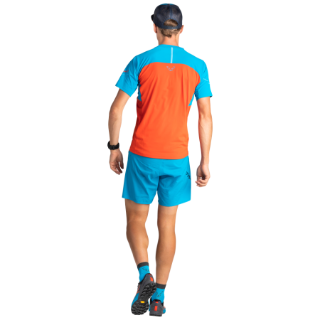 Buty do biegania dla mężczyzn Dynafit Alpine