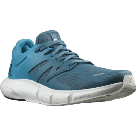 Buty męskie Salomon Predict 2 niebieski MallardBlue