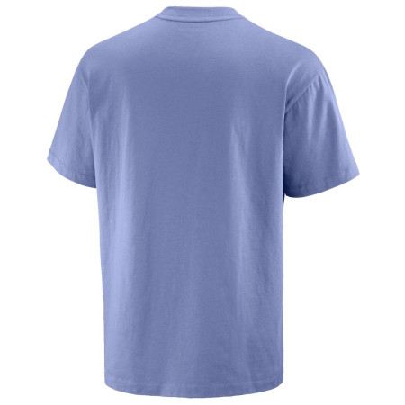 Koszulka męska Salomon Wild Rays Label SS Tee
