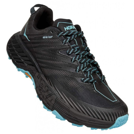 Damskie buty do biegania Hoka One One Speedgoat 4 Gtx czarny/turkusowy Anthracite/DarkGullGrey