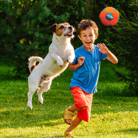 Zabawka dla psa Nerf Dog X-Weave Soccer Squeak Ball 12,5 cm