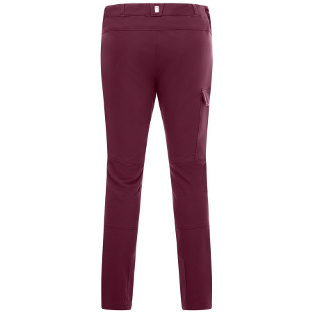 Spodnie dziecięce Regatta Tech Mountain Trousers Fig