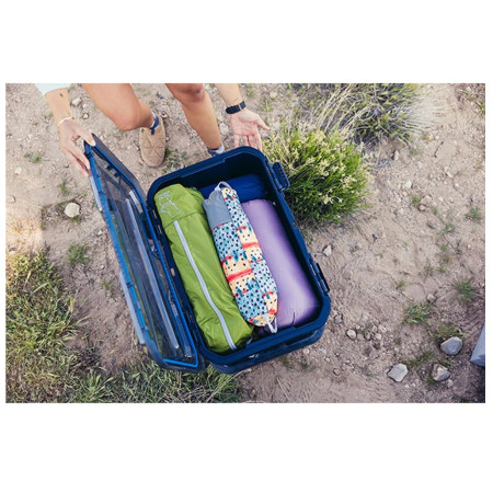 Organizer Gregory Alpaca Gear Box 45L