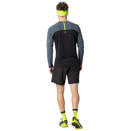 Męska koszulka Dynafit Alpine Pro M L/S Tee