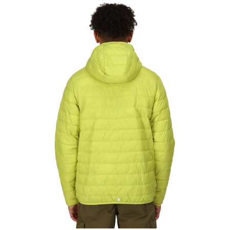 Kurtka zimowa męska Regatta Hooded Hillpack