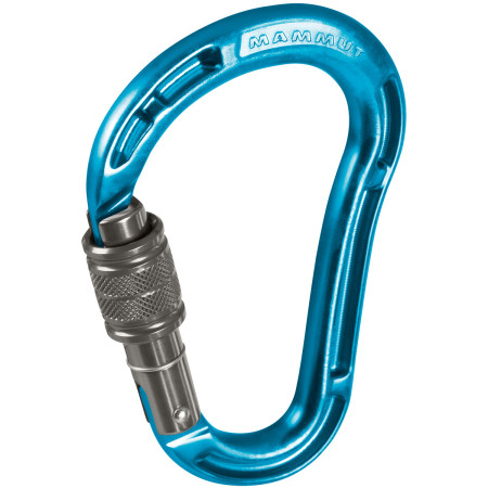 Karabinek Mammut Bionic HMS Screw Gate niebieski aqua