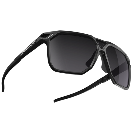 Okulary przeciwsłoneczne Dynafit Traverse Sunglasses