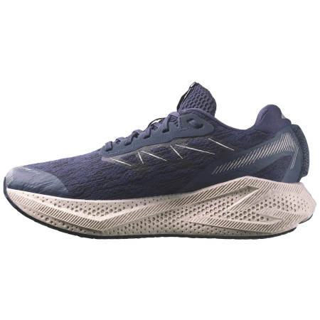 Buty do biegania dla mężczyzn Salomon Aero Glide 4