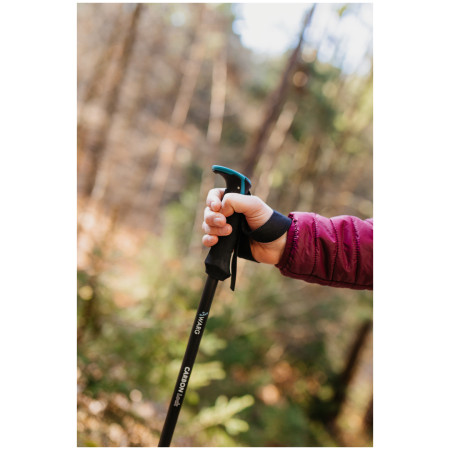 Kije trekkingowe Warg Carbon Lock