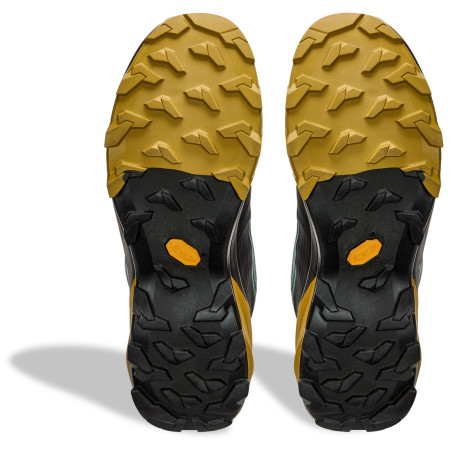 Męskie buty trekkingowe Dynafit Transalper 2