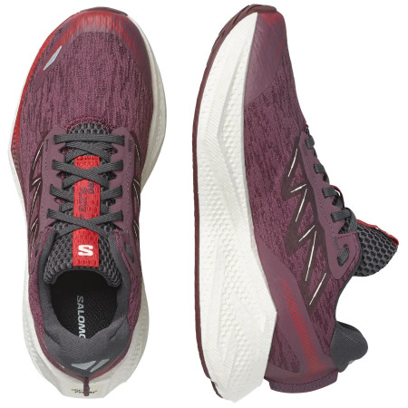 Damskie buty do biegania Salomon Aero Glide 4