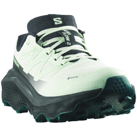 Damskie buty do biegania Salomon Ultra Flow 2 Gore-Tex