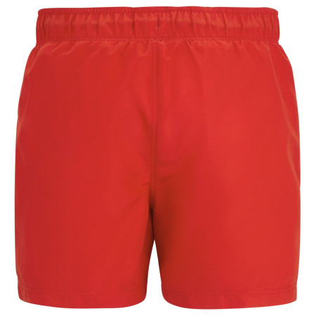 Męski strój kąpielowy Regatta Mawson Swim Shorts III
