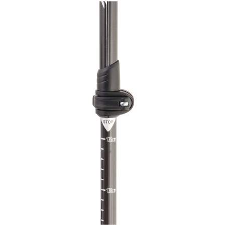 Kije trekkingowe Axon Light