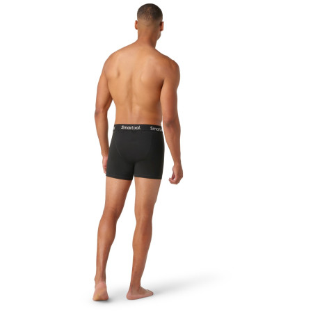 Męskie bokserki Smartwool M Boxer Brief Boxed