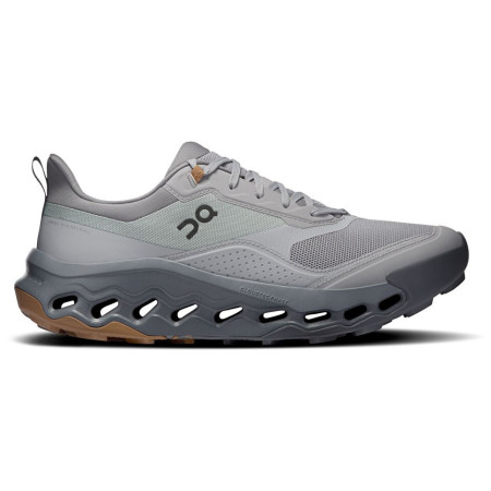 Męskie buty turystyczne On Running Cloudhorizon 2