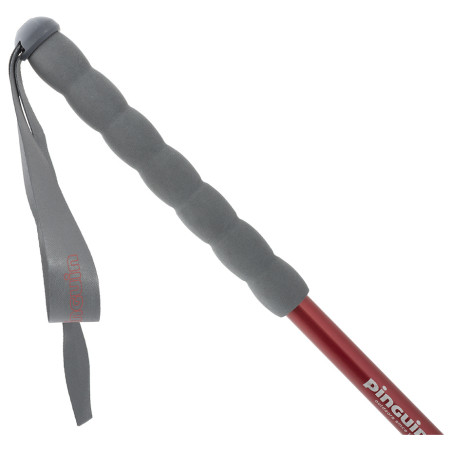 Kije trekkingowe Pinguin Fastrail TL Foam