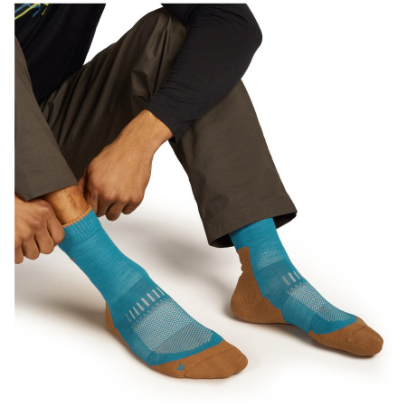 Skarpety męskie Icebreaker M Mer Hike+ Light Crew