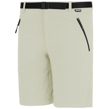 Spodnie męskie Regatta Xert Stretch Z/O Trousers