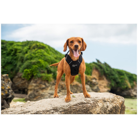 Szelki dla psa Mountain Paws Dog Harness