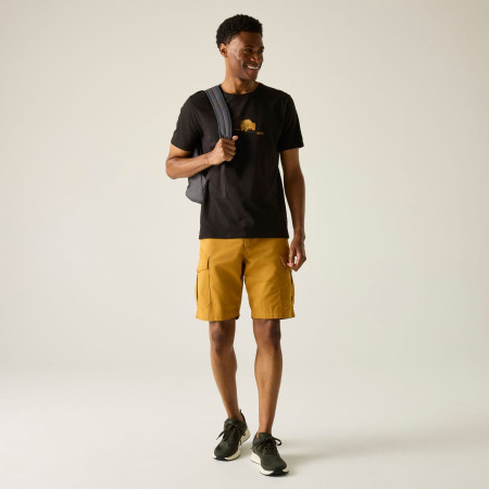 Koszulka męska Regatta Cline IX